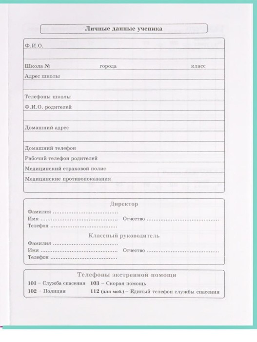 Дневник школьный для 1-4 классов на резинке &quot;Девушка с ушками&quot;, 48 л (22,3x17,5 см) 