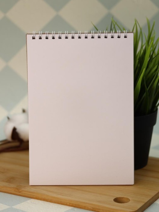 Скетчбук «Goose vibe», 14х20 см,  плотность 100 гр 