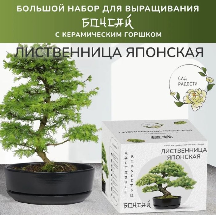 Набор д/создания бонсай "Сад Радости", "Лиственница японская" 