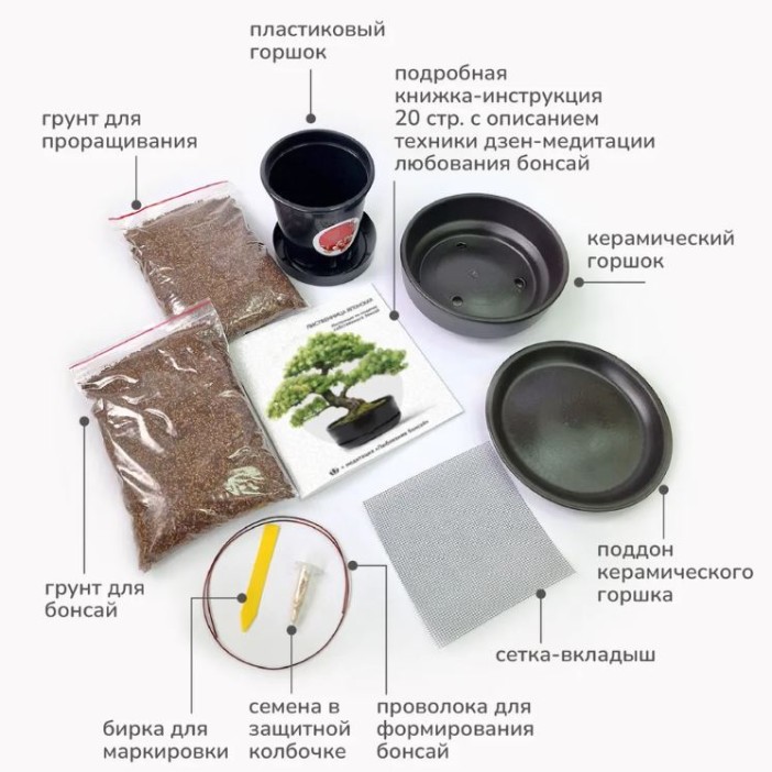 Набор д/создания бонсай "Сад Радости", "Лиственница японская" 