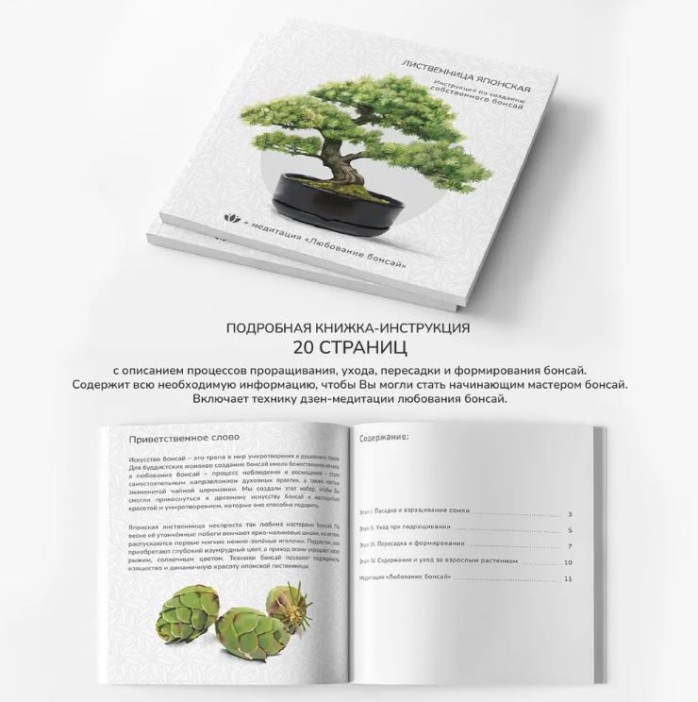 Набор д/создания бонсай "Сад Радости", "Лиственница японская" 