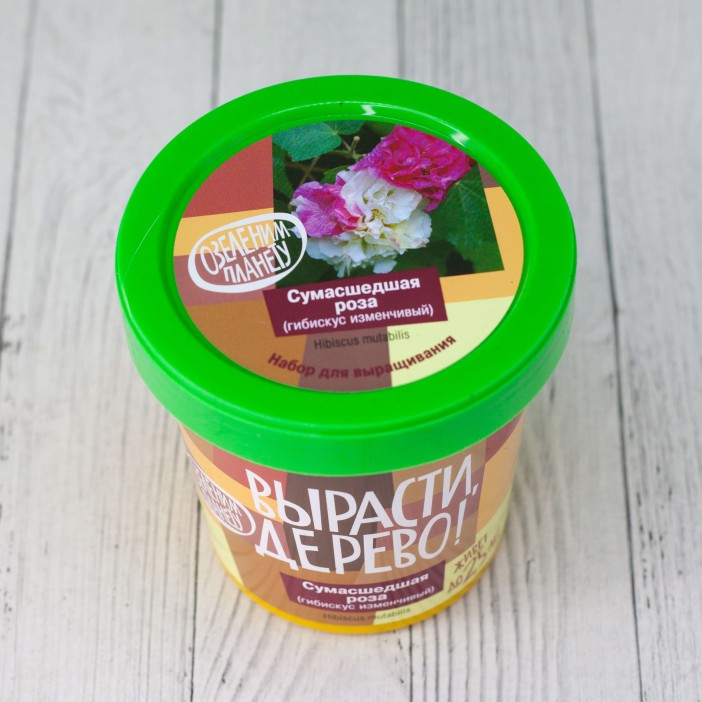 Набор для выращивания &quot;Сумасшедшая роза&quot; 