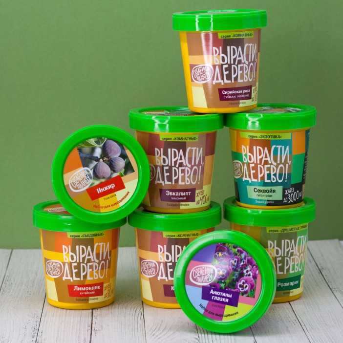 Набор для выращивания &quot;Сумасшедшая роза&quot; 