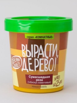 Набор для выращивания "Сумасшедшая роза"