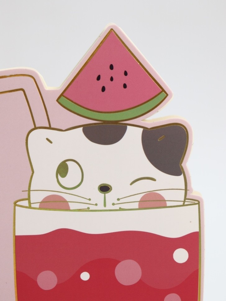 Блокнот на спирали (B6) "Котенок коктейль-арбуз", красный (13*18)