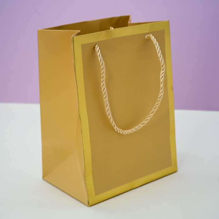 Пакет подарочный (XS) «Classic line», gold (19.5*14.5*10) 