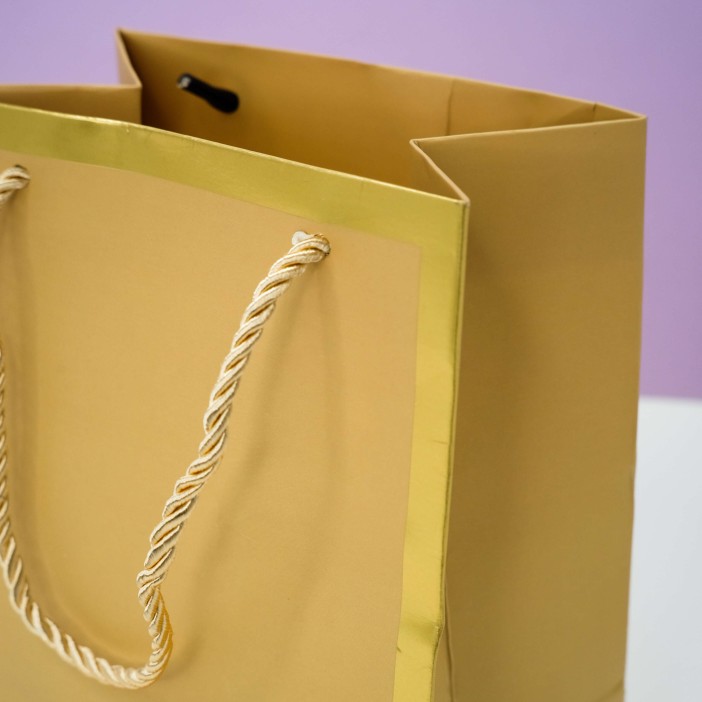 Пакет подарочный (XS) «Classic line», gold (19.5*14.5*10) 