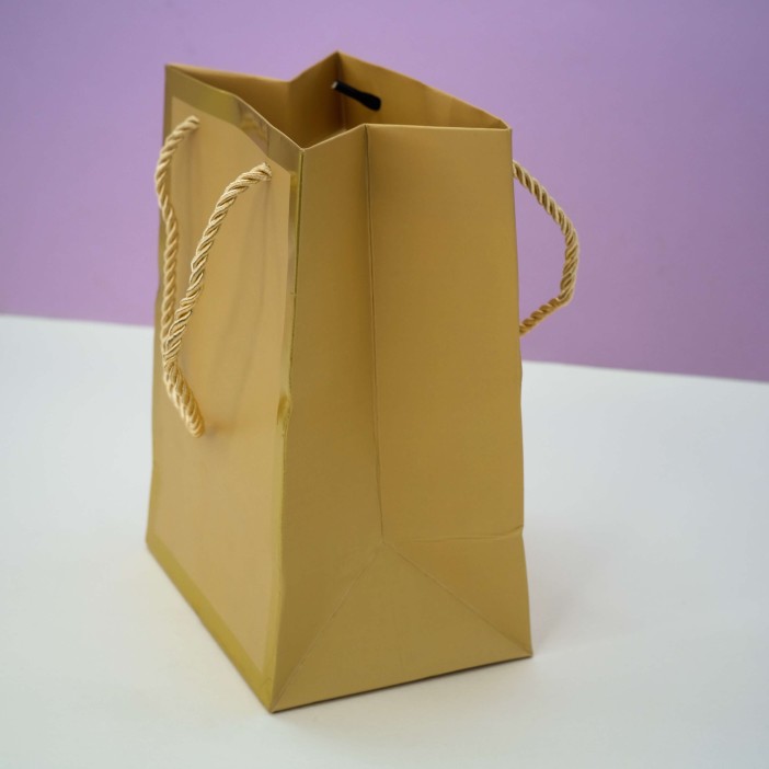 Пакет подарочный (XS) «Classic line», gold (19.5*14.5*10) 