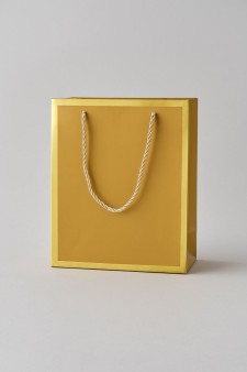 Пакет подарочный (XS) «Classic line», gold (19.5*14.5*10)