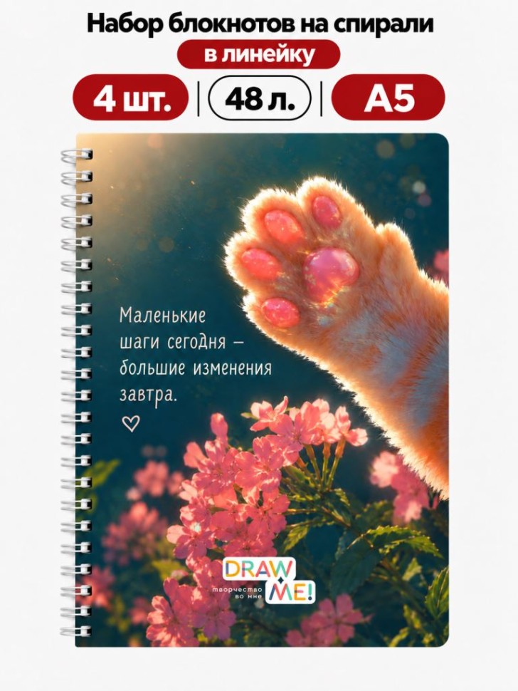 Набор блокнотов на спирали в линейку А5 Draw Me! 4шт. "Солнечная лапка ", 48л.
