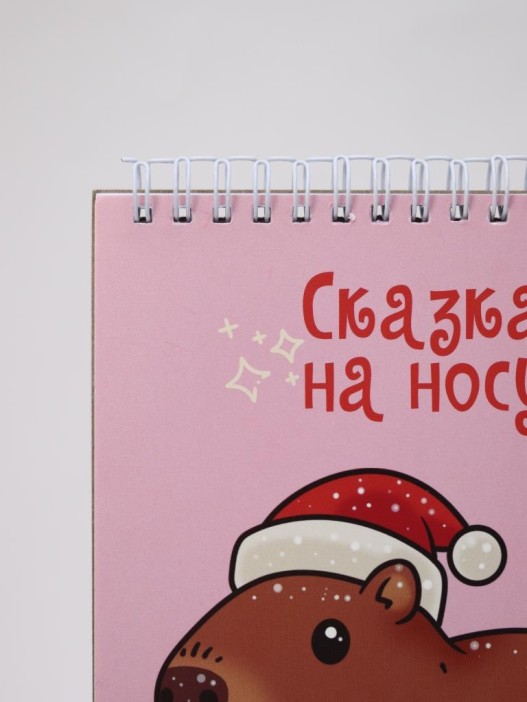 Скетчбук «Новогодняя капибара», 14х20 см,  плотность 100 гр 