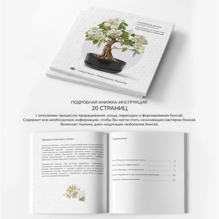 Набор д/создания бонсай &quot;Сад Радости&quot;, &quot;Орхидейное дерево&quot; 