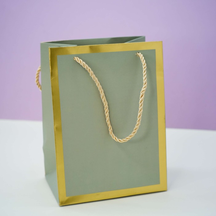 Пакет подарочный (XS) «Classic line», green (19.5*14.5*10) 