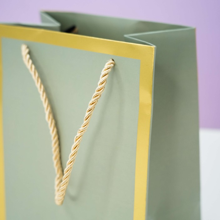 Пакет подарочный (XS) «Classic line», green (19.5*14.5*10) 