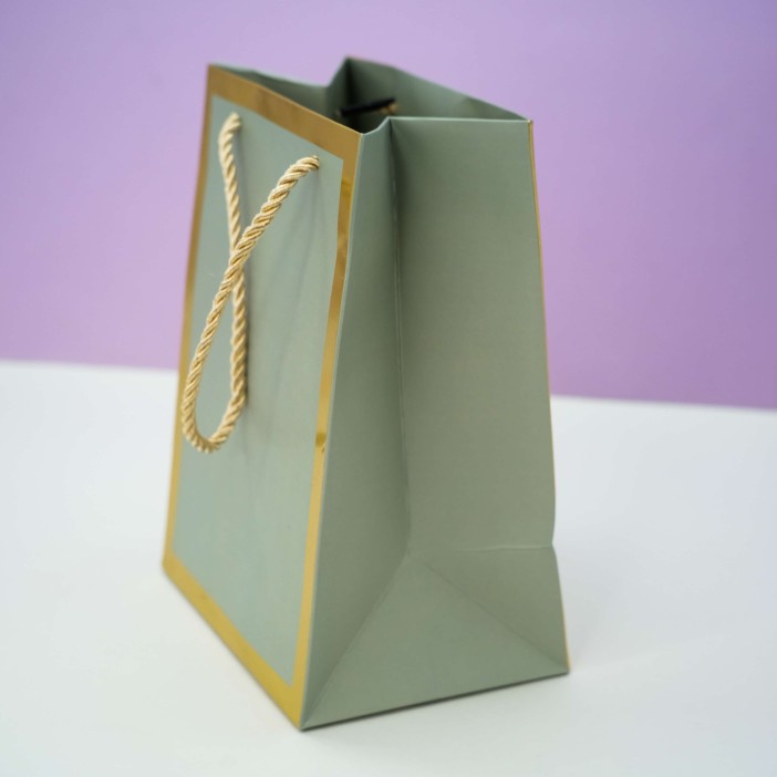 Пакет подарочный (XS) «Classic line», green (19.5*14.5*10) 