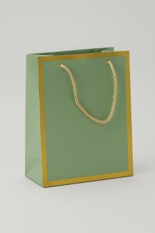 Пакет подарочный (XS) «Classic line», green (19.5*14.5*10)