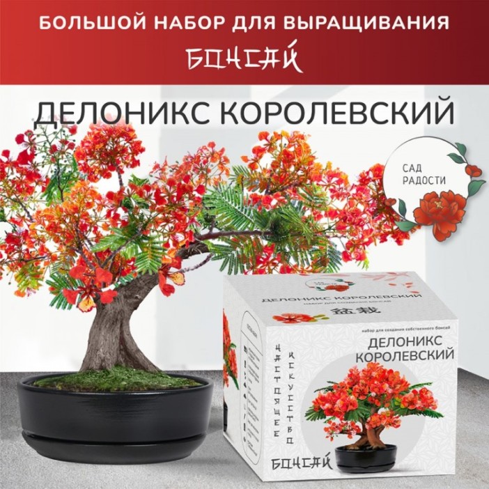 Набор д/создания бонсай &quot;Сад Радости&quot;, &quot;Делоникс королевский&quot; 