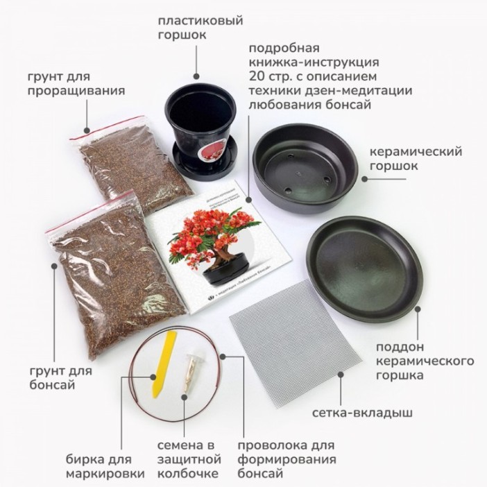 Набор д/создания бонсай &quot;Сад Радости&quot;, &quot;Делоникс королевский&quot; 