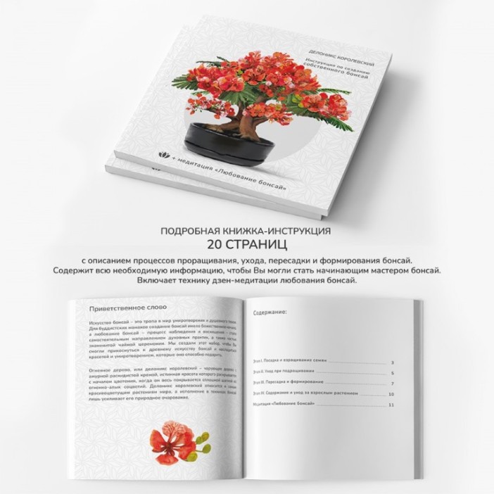 Набор д/создания бонсай &quot;Сад Радости&quot;, &quot;Делоникс королевский&quot; 