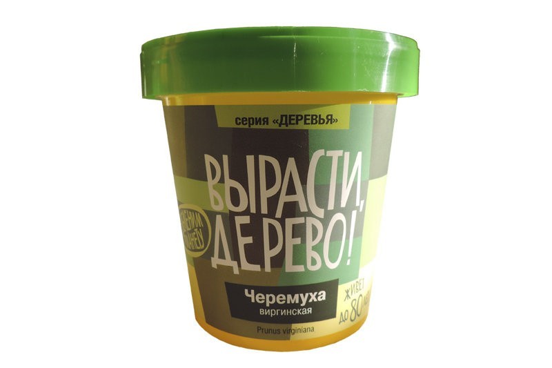 Набор для выращивания "Черёмуха виргинская"