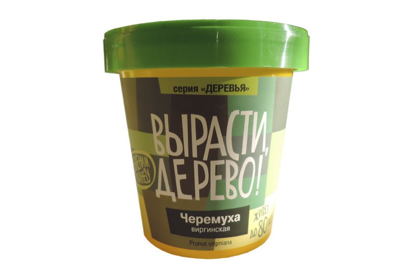 Набор для выращивания "Черёмуха виргинская" 