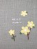 Зеркало &quot;Hello world&quot;, green 
