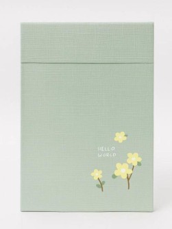 Зеркало "Hello world", green