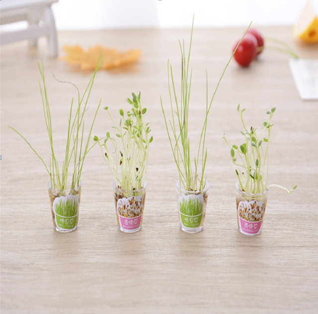 Ручка+ набор для выращивания &quot;Herbal pen&quot;, yellow 