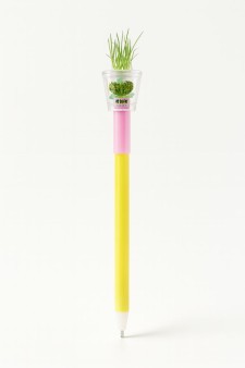 Ручка+ набор для выращивания "Herbal pen", yellow