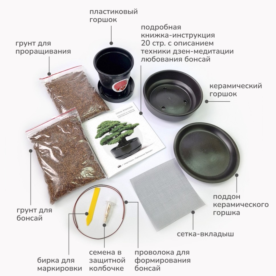 Набор д/создания бонсай "Сад Радости", "Сосна японская"