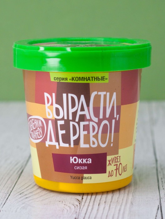 Набор для выращивания &quot;Юкка сизая&quot; 