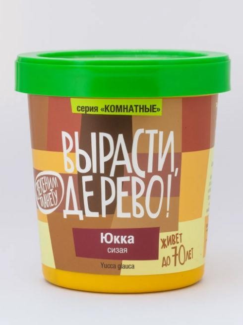 Набор для выращивания &quot;Юкка сизая&quot; 