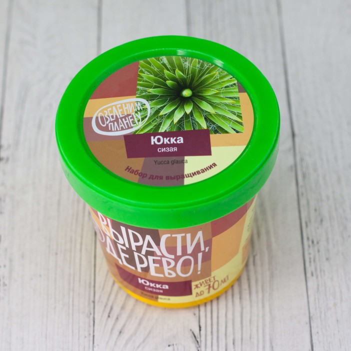 Набор для выращивания &quot;Юкка сизая&quot; 