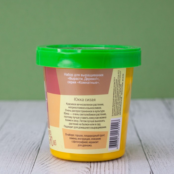 Набор для выращивания &quot;Юкка сизая&quot; 