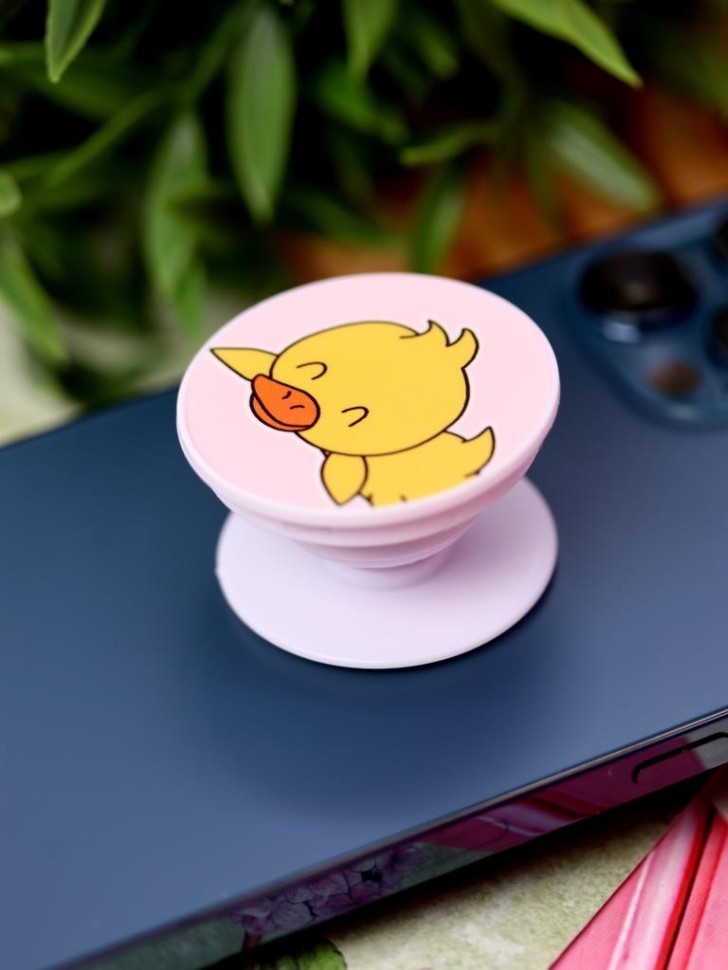 Попсокет "Sleeping duck"