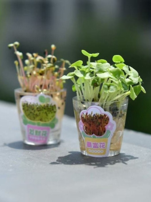 Ручка+ набор для выращивания &quot;Herbal pen&quot;, pink 