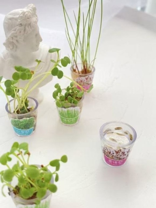 Ручка+ набор для выращивания &quot;Herbal pen&quot;, pink 