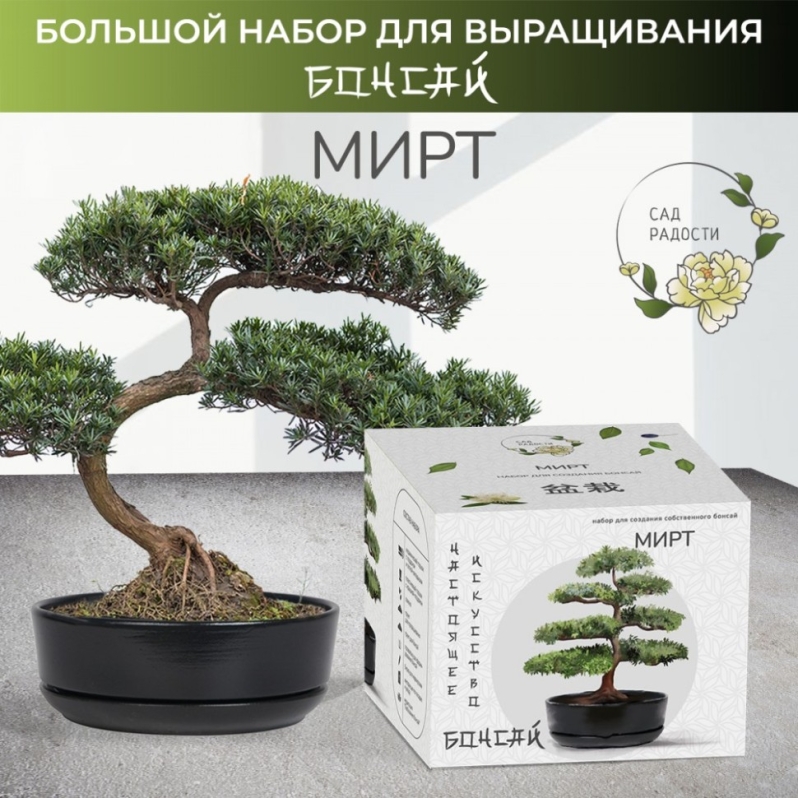 Набор д/создания бонсай "Сад Радости", "Мирт"