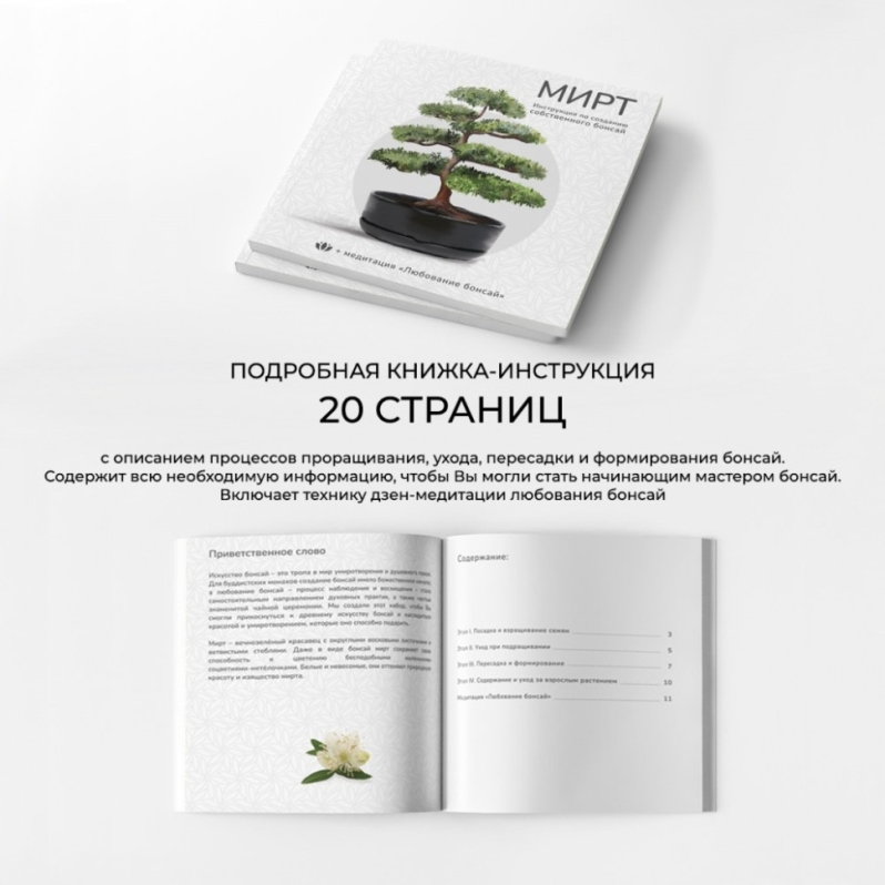 Набор д/создания бонсай "Сад Радости", "Мирт"