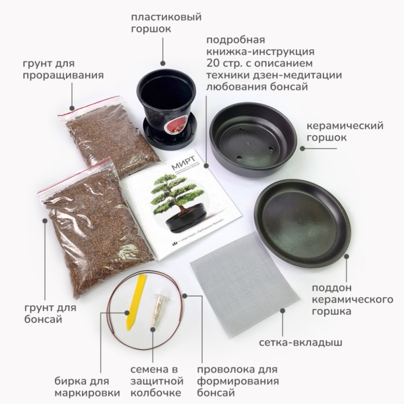 Набор д/создания бонсай "Сад Радости", "Мирт"