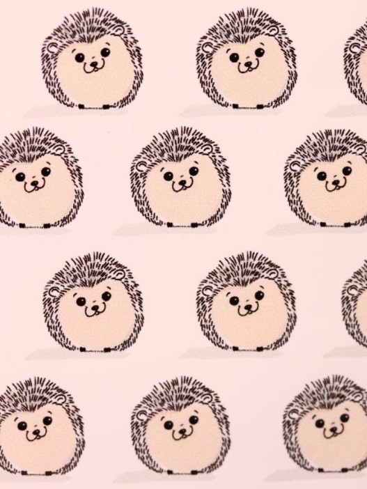 Держатель для карт "Ежик" (6,5 х 10,4 см) 