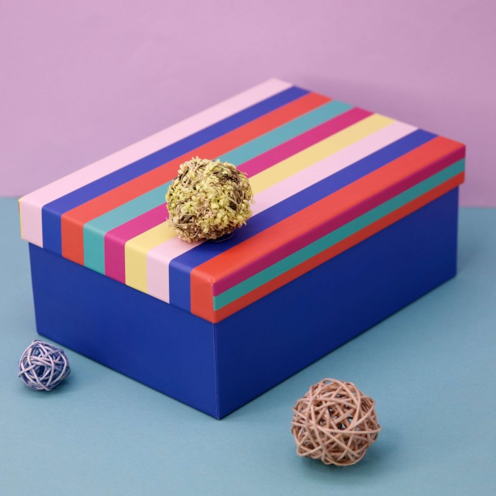 Подарочная коробка «Stripes», 23*16*9.5 