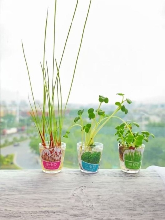 Ручка+ набор для выращивания &quot;Herbal pen&quot;, blue 