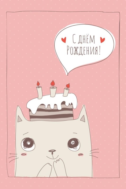 Набор открыток 5 шт. "Котик с тортом", 10*15 см
