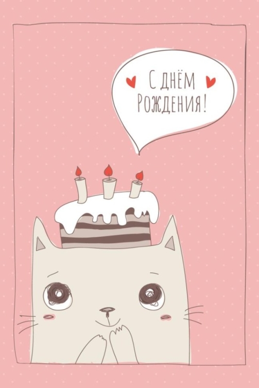 Набор открыток 5 шт. "Котик с тортом", 10*15 см