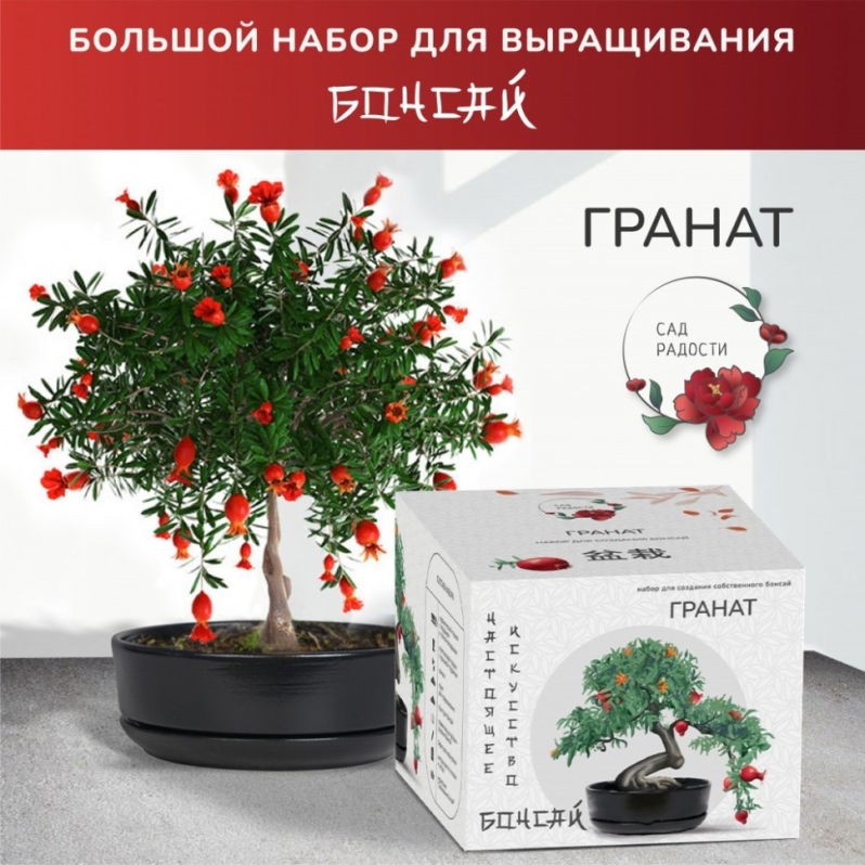 Набор д/создания бонсай "Сад Радости", "Гранат"