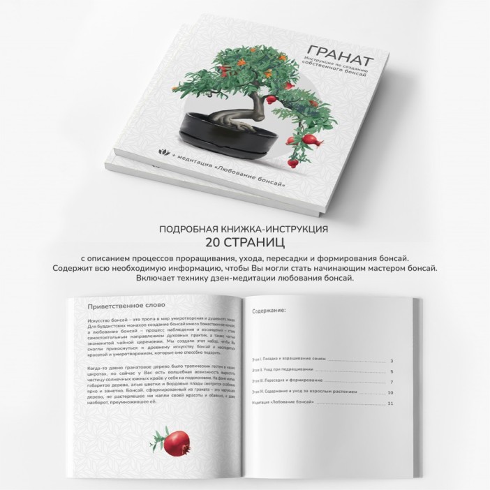 Набор д/создания бонсай "Сад Радости", "Гранат" 