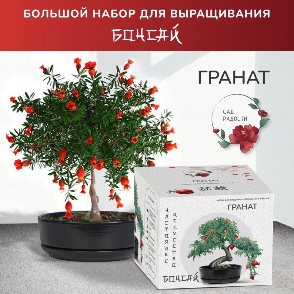 Набор д/создания бонсай "Сад Радости", "Гранат"