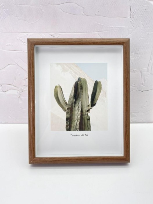 Фоторамка «Indoor plants», темное дерево (20*26 см) 