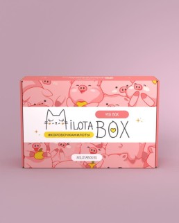MilotaBox &quot;Pig Box&quot;